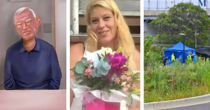 The three high-profile Illawarra cases in the courts this week