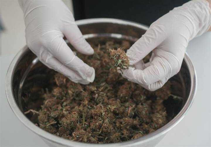 Kevin A. Sabet Medical insurance must not cover medical marijuana