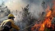 El Bocyl lo confirma: esto es lo que cobrarán de más los trabajadores del operativo de incendios forestales en Castilla y León