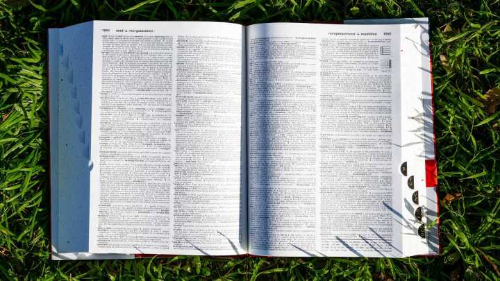 La Palabra del Año Es Revelada: Descubre el Término que Definió el 2025