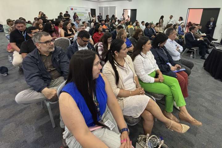 Productores de Hortalizas de Arica Llamados a la Colaboración para Mejorar el Producto