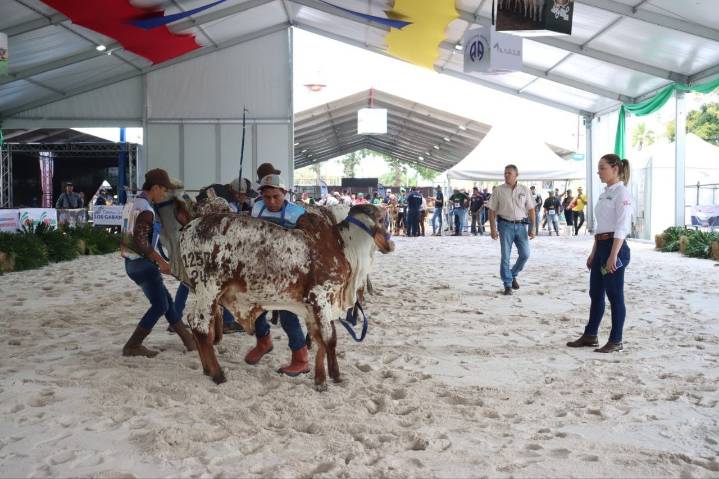 Jurado internacional engalanará la Monagas Expo Agroindustrial 2025