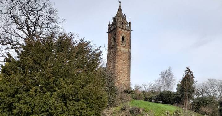 Dog walkers could pay less to use Bristol parks than other groups