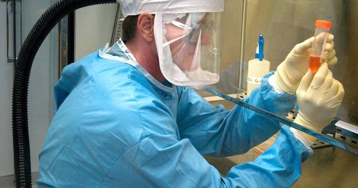 Alerta por brote de virus de Marburgo en África: síntomas, formas de contagio y riesgos para la población