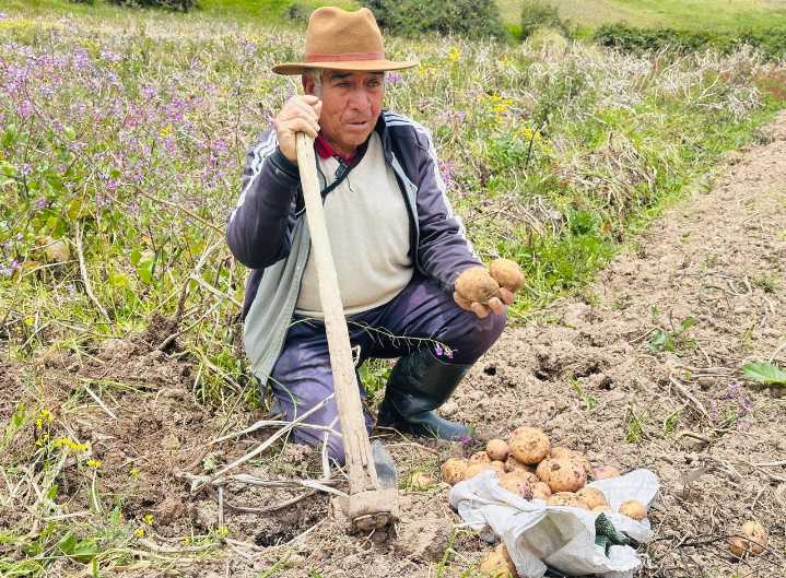 Gobernación de Boyacá apoya a campesinos con la estrategia ‘Papa Todos’ y a través del PAE