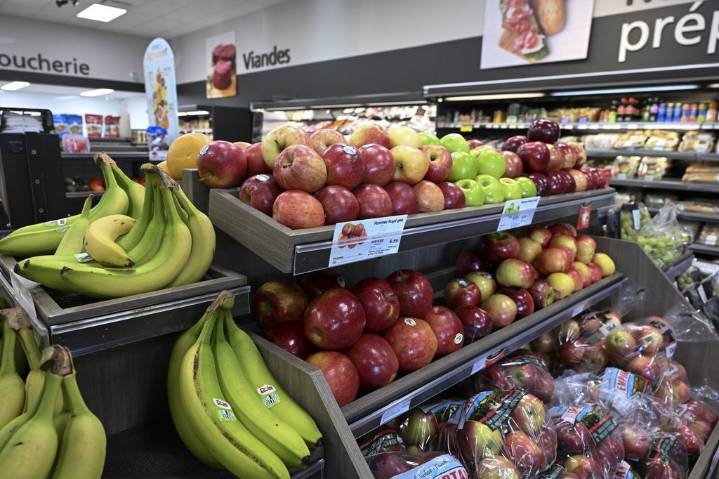 Canadians seeking ways to save on groceries as food costs remain top concern: survey