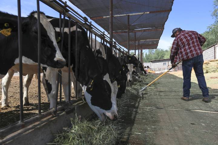 La inflación en México desacelera y cierra octubre en 3,57%