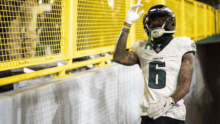 2025 Week 11 Fantasy Football Rankings: WR