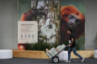 Arranca en Brasil la cumbre del clima más crucial de la década: "La Tierra es una y la humanidad es una. Las respuestas deben venir de todos y para todos"