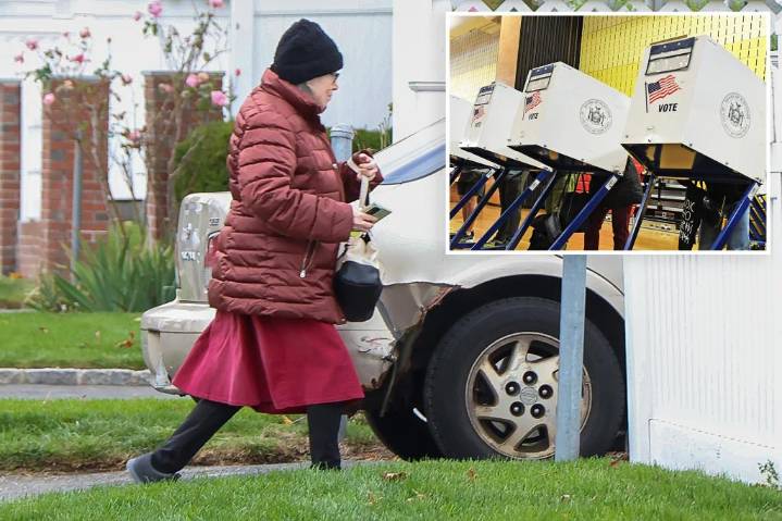 Strange new twist in case of Long Island granny who claims she didn't know she ran for office: 'We're proud of her'