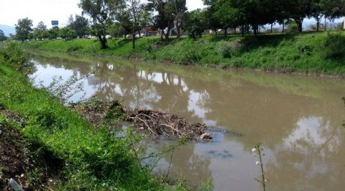 En el idioma que todos entienden