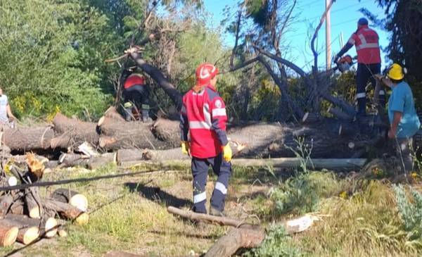 El Municipio de Trevelin trabajo ante el temporal de viento