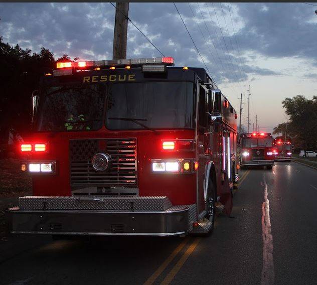 Basement fire claims lives of 'several pets' in Springfield