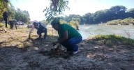 Reforestan márgenes del río Tampaón como parte del Plan Hídrico federal