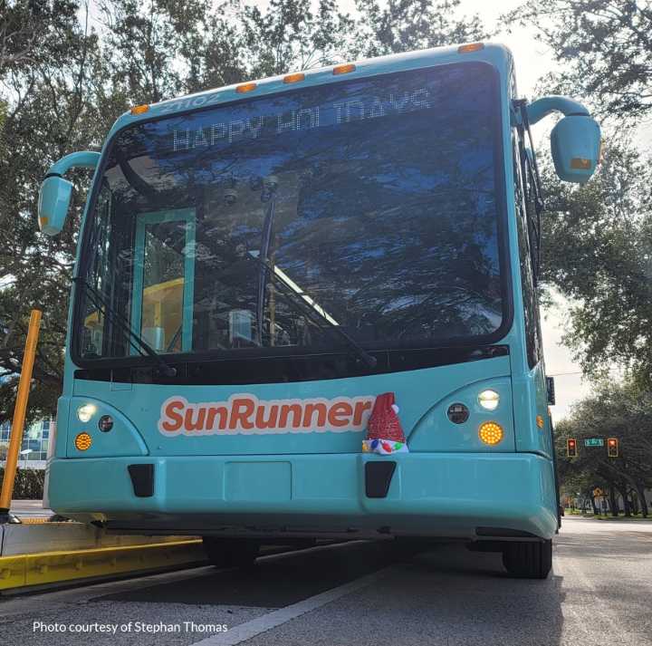 Immigration Enforcement St. Pete