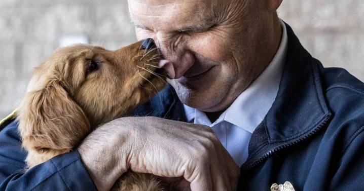 Greensboro firefighters have first emotional support dog