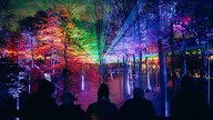 Zoo Knoxville to light up this winter with 'Smoky Night Lights'