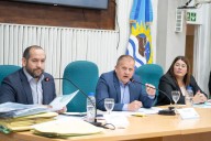 Diputados aprobaron leyes para la regulación de la puericultura en Santa Cruz y la promoción educativa para estudiantes con altas capacidades