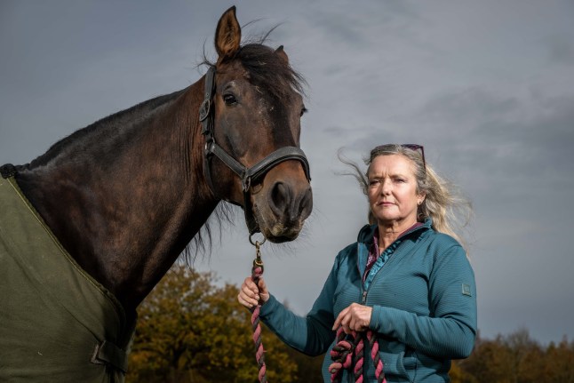 Horse breeder left ‘paranoid’ after neighbours complain about ‘constant neighing’