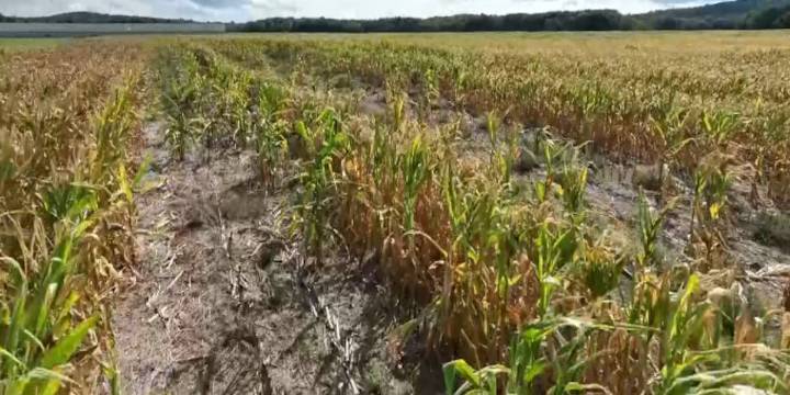 10 Maine counties designated as Primary Natural Disaster Areas due to drought