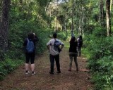 El Parque Lago Ziegler se incorpora a la ‘Ruta de las Aves de Misiones’