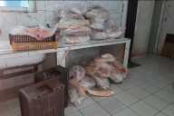 Incautaron 945 kilos de pescados en Diamante: al no ser aptos para consumo, los enterraron en un pozo