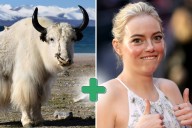 How Do You Pronounce the word 'YAKIMA'? And Other Local Words