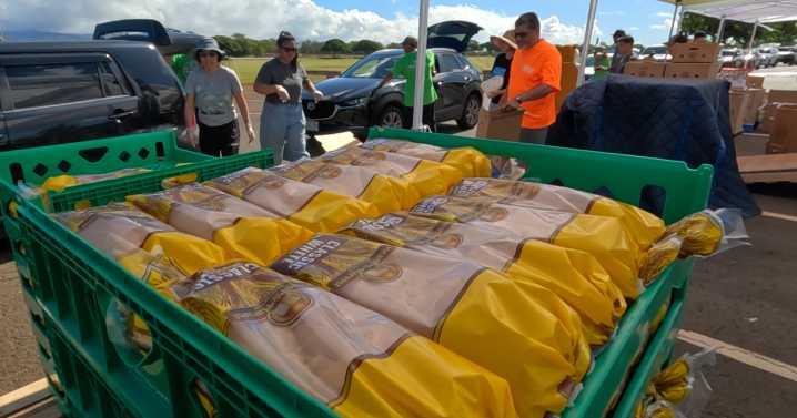 SNAP benefits return to Hawaii residents following orders from a Rhode Island judge