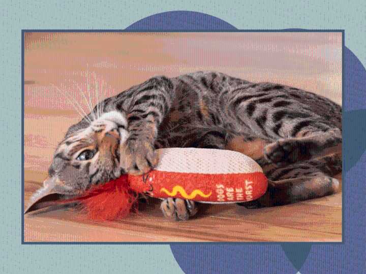 This $4 Hotdog-Shaped Cat Toy Has Cats 'Going Bananas' — & Shoppers Say It’s Surprisingly Durable