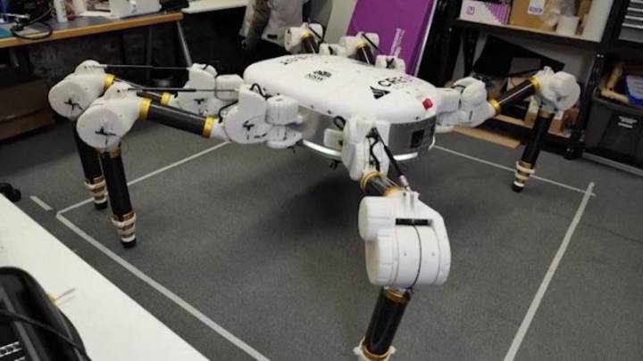 Este robot araña imprime casas con tierra y planea conquistar la Luna