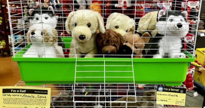 Not ready for a real pet? KHS introduces adoptable plush animals ahead of holiday season