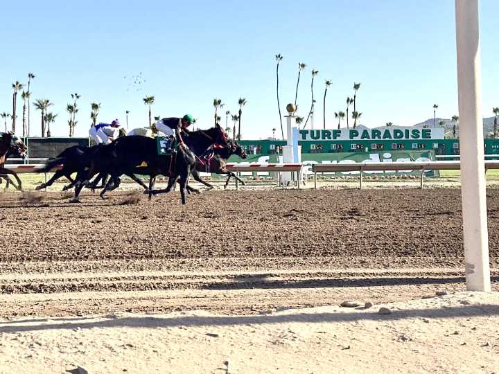Turf Paradise begins 70th season with new vision, renewed hope