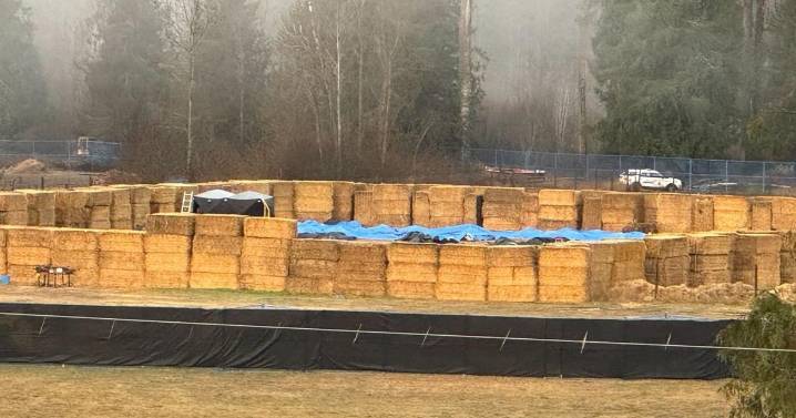 'Couldn't stomach it': Ostriches loaded in bins after shooting cull stuns protesters