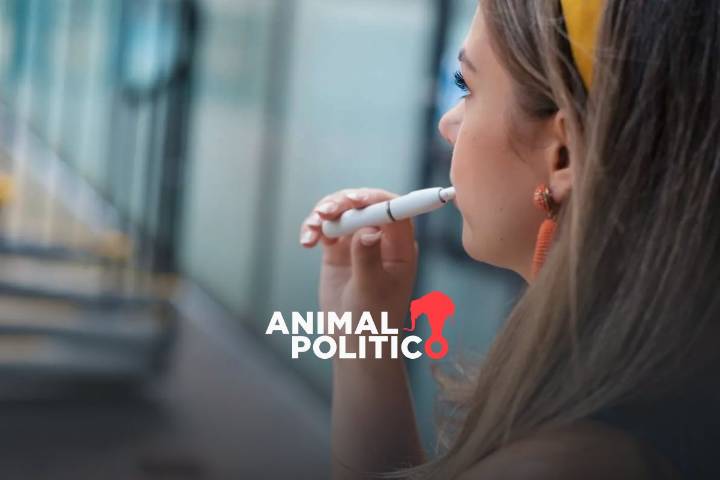 Organizaciones advierten que 7 cárteles disputan contrabando de tabaco que deja hasta 20 mdp al año