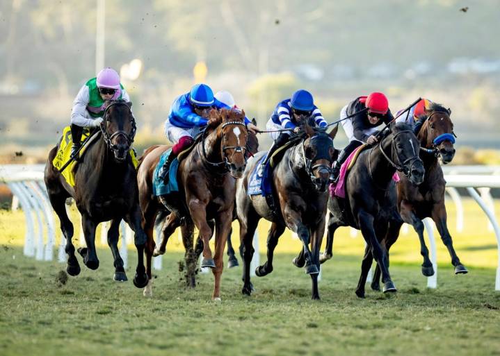 Salamis captures Hollywood Derby on second-to-last day of Del Mar’s fall meeting