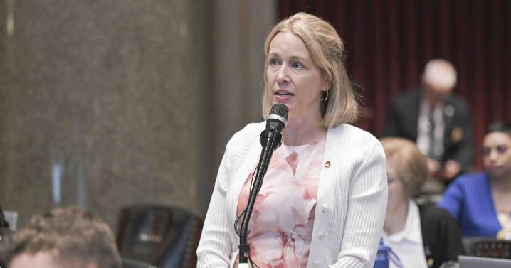 Missouri state Rep. Zimmermann forecasts Democratic gains in west St. Louis County