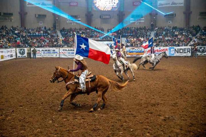 Texas rodeo industry on-edge after horse herpes outbreak