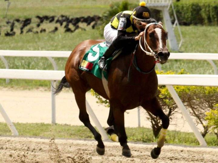 Resultados de La Rinconada