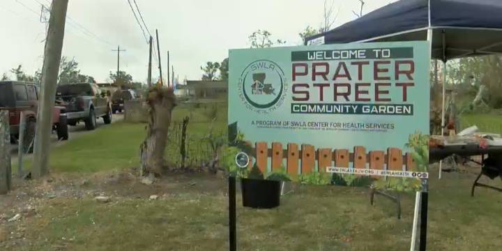 Driver cited for hit-and-run driving, damage at community garden