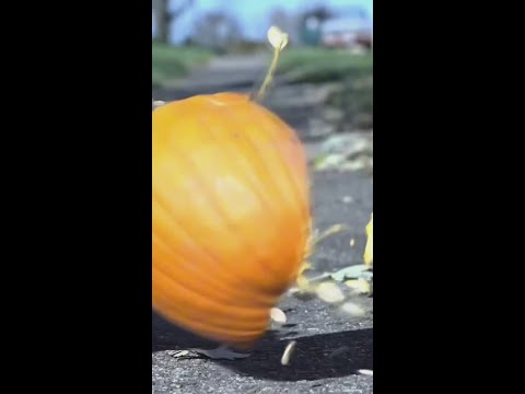 Throwing away pumpkins can help the environment
