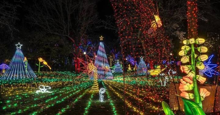 Three can't-miss holiday events in Chicago to enjoy during December