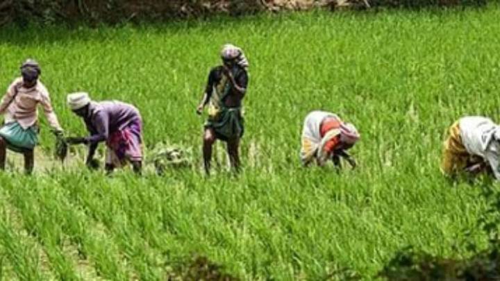 Over 2.15 crore farmers in UP to receive ‘PM Kisan Samman Nidhi’ tomorrow