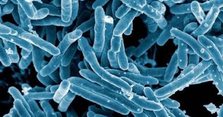 Expertos alertan de que las «superbacterias» podrían causar más muertes que el cáncer en 2050