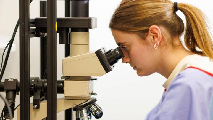 Technology 
                                              Premium
                                            Hundreds laid off as national science agency cuts jobs