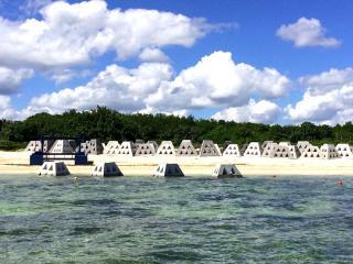 Consolida Caribe Mexicano su liderazgo turístico con más de 332 mil visitantes durante el puente del Día de Muertos