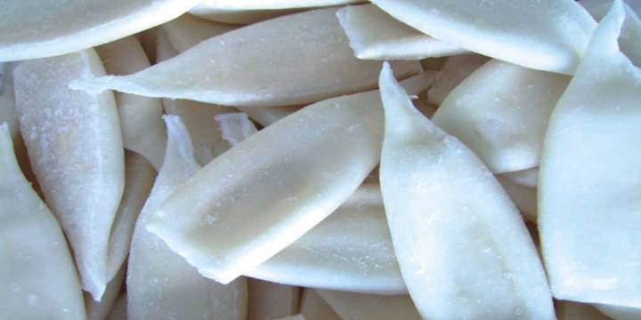 Autorizan cuota complementaria de 38 mil 859 toneladas de pota: Desde este 21 de noviembre