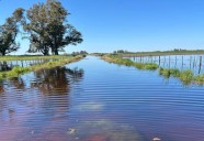 Lo que viene. La infraestructura y la gobernanza del agua, en el tope de las prioridades