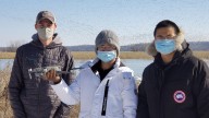 Missouri scientists test new method for counting waterfowl