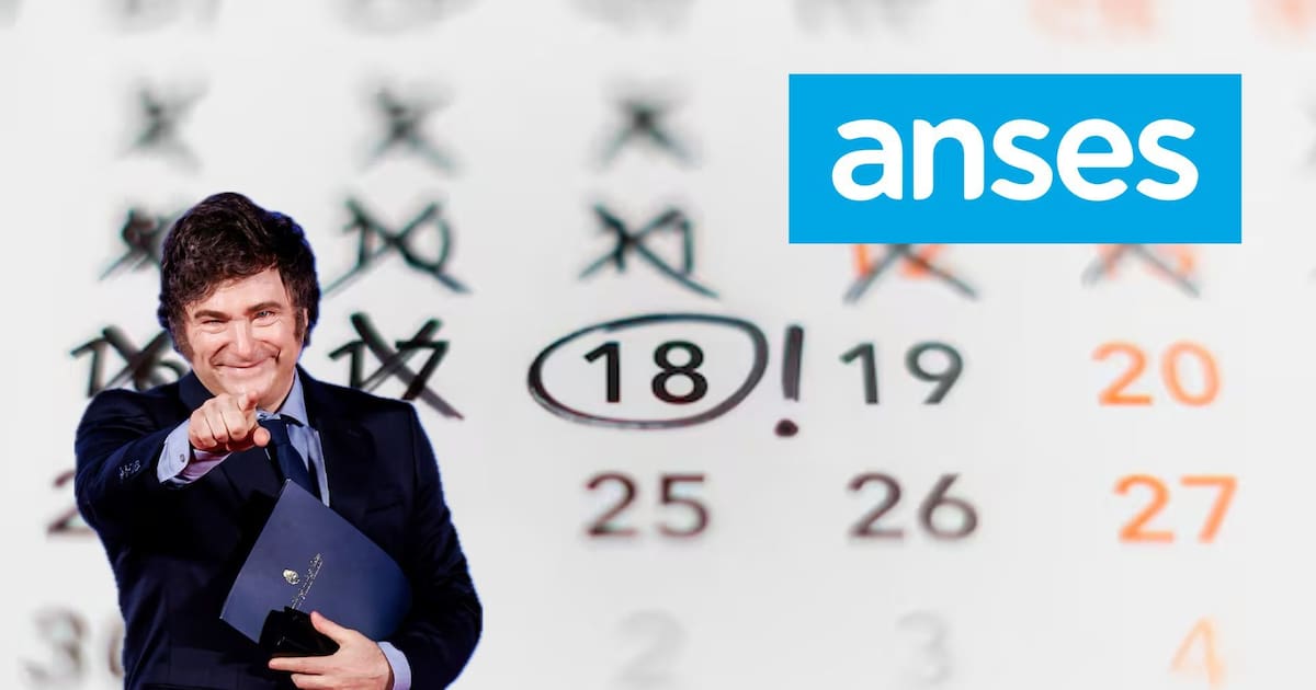 Calendario ANSES: arrancan el cronograma de pagos para jubilados, pensionados, AUH y SUAF en noviembre 2025