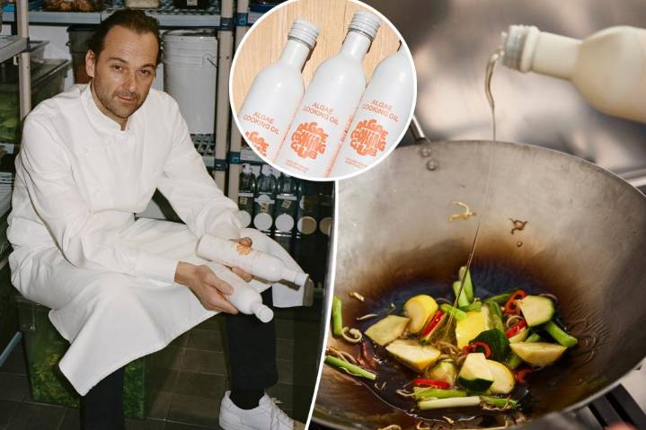 Algae oil has less saturated fat than olive oil